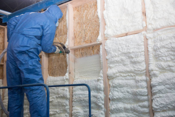 Best Radiant Barrier Insulation  in Star City, WV